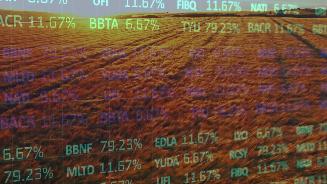 Animation der Finanzdatenverarbeitung über einem Agrarfeld