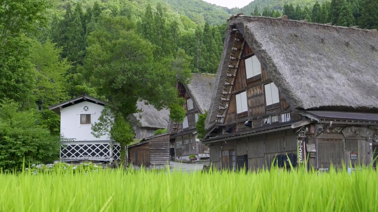 白川郷の美しい茅葺き屋根の家々の上を移動するスローモーションのローアングルスライダーショット。