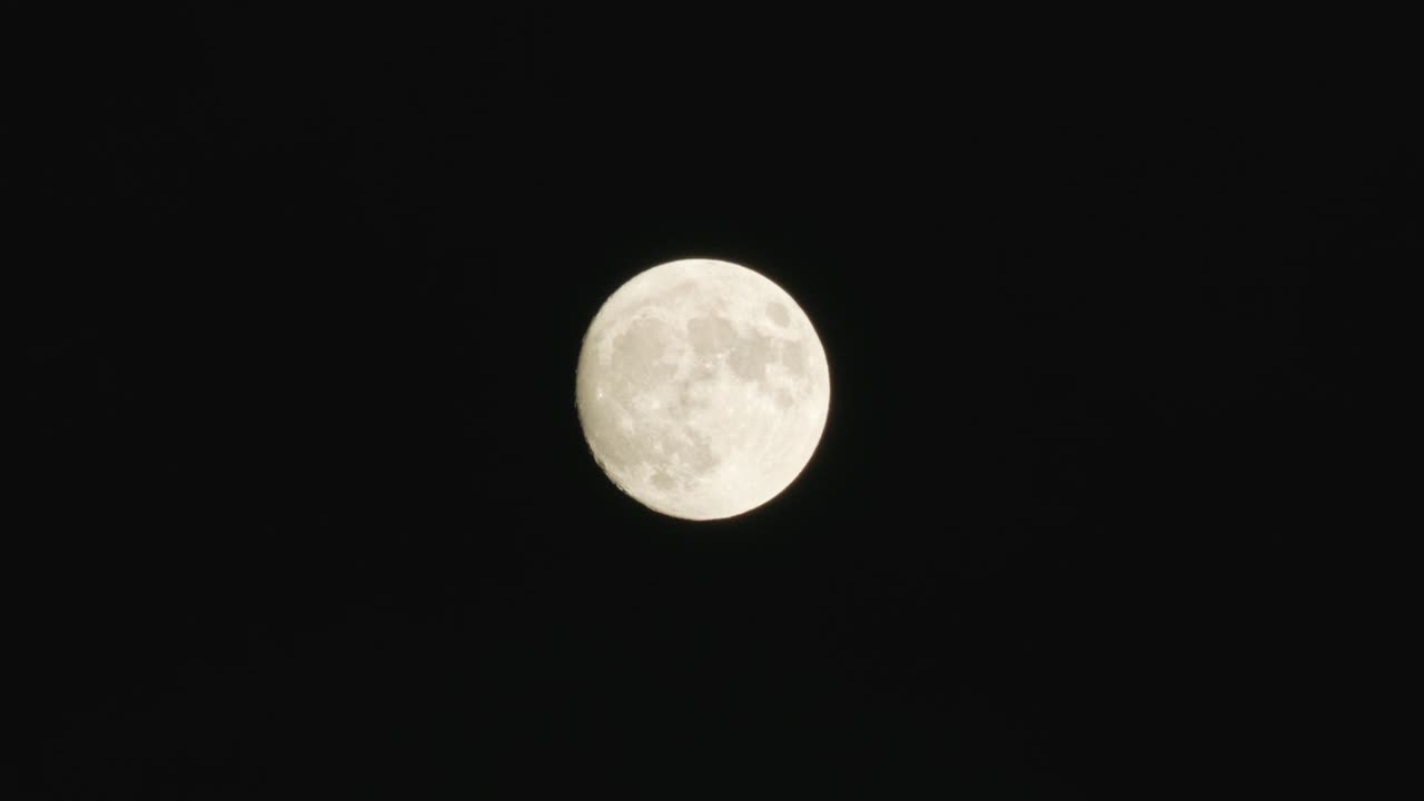 Ночь полной луны