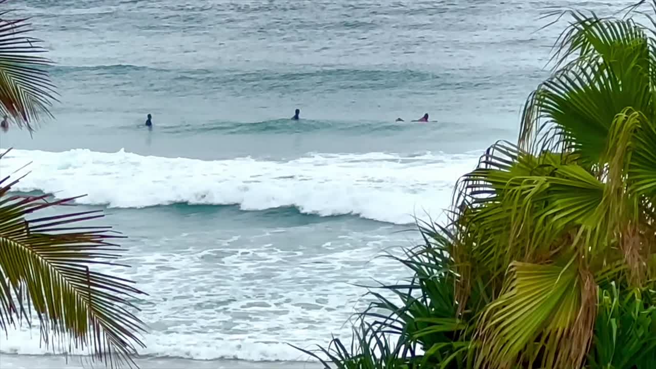 Surfer flashing past surfing on wave in between two palm trees on Palm Beach, The Gold Coast, Queensland