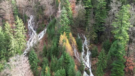 forest waterfalls in autumn