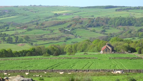 Sehr-Malerische-Cottages-Bilden-Ein-Ländliches-Dorf-In-England,-Irland,-Wales-Oder-Schottland-2