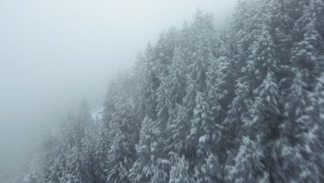 Aerial-shot-through-dense-fog-overhead-a-snowy-forest-in-the-Utah-mountain-range