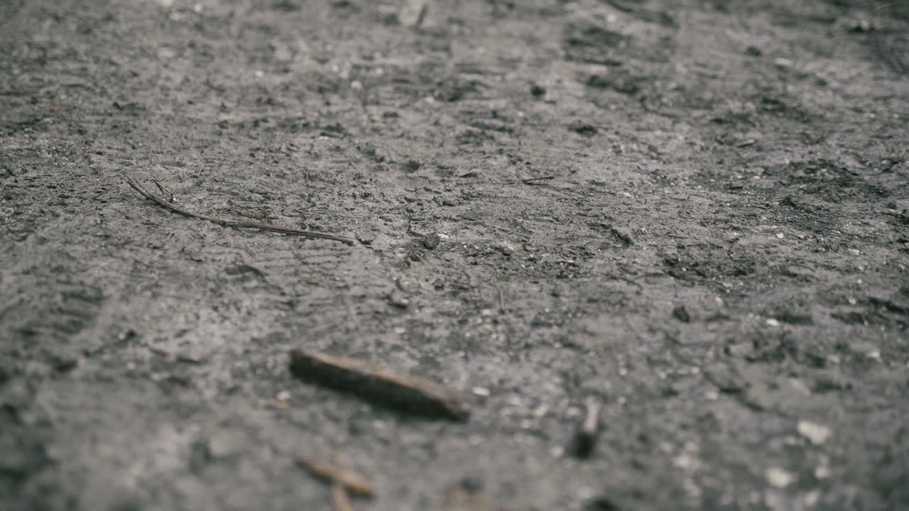 진흙탕 길을 걷는다