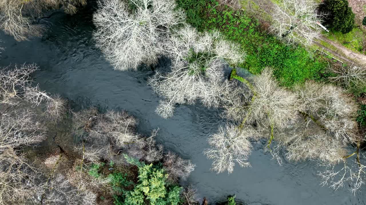 Tamega flodbank mångsidig vegetation, Amarante stad, Flygbild