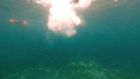 person swimming underwater near coral reef
