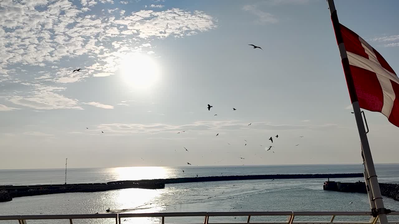 at the stern of a Danish ferry with the Danish flag and many seagulls entering a harbor