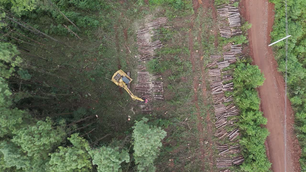 Top aerial view of machinery felling trees in the forest for commerce