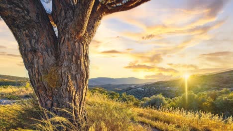 Majestic-and-colorful-sunset-in-mountains,-sun-is-going-down-on-horizon,-old-tree-is-located-in-the-scenic-view-as-long-with-landscape-with-moving-clouds