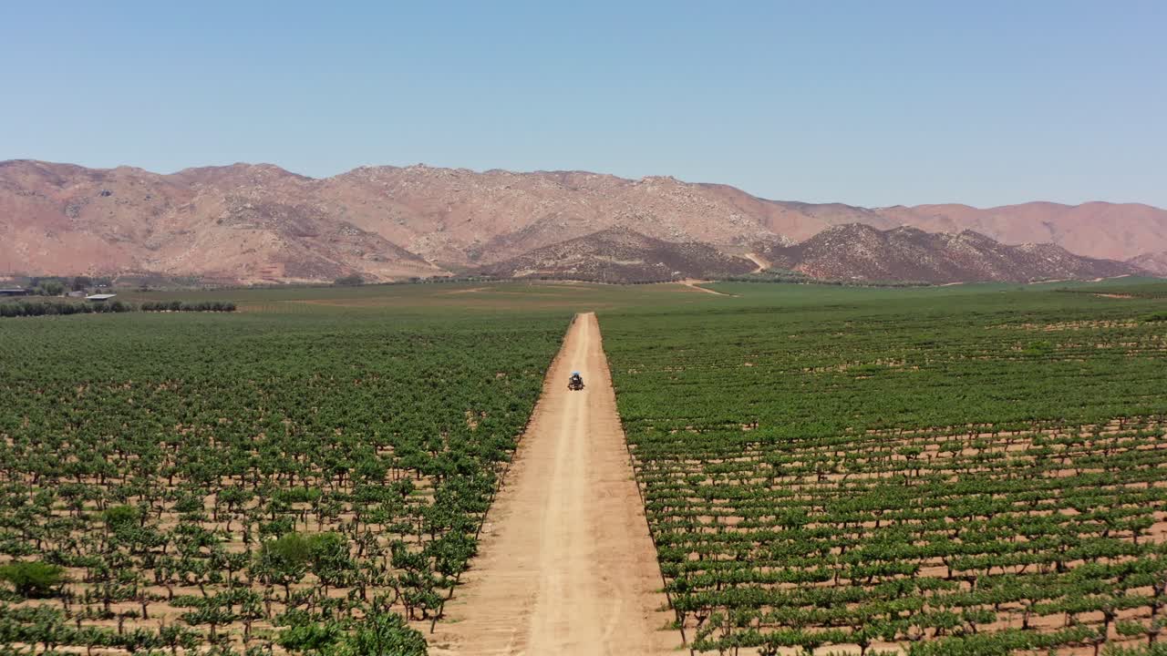 Toma de dron de un viñedo en el Valle de Guadalupe a mediodía
