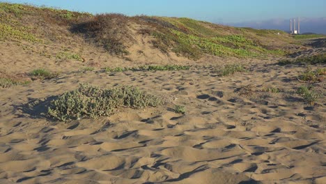 the morro bay power plant is seen in the distance along a sandy beach