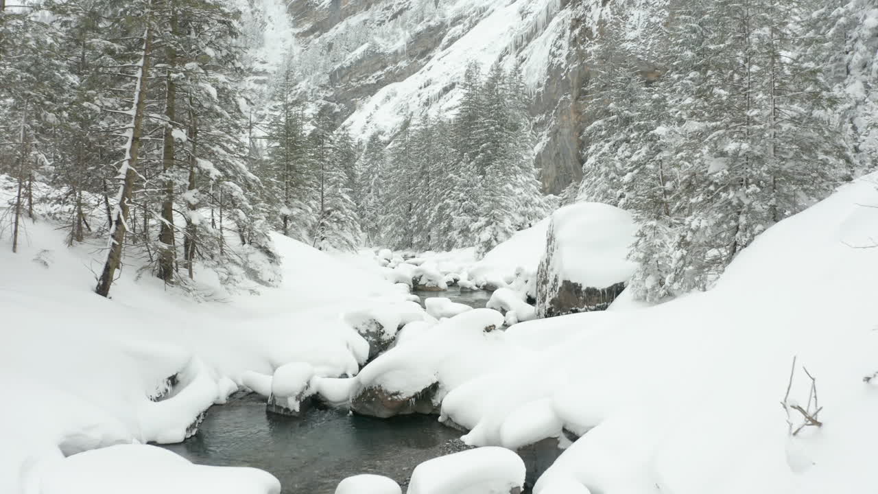 눈 덮힌 풍경 속에서 잔잔한 개울 위로 낮게 이동