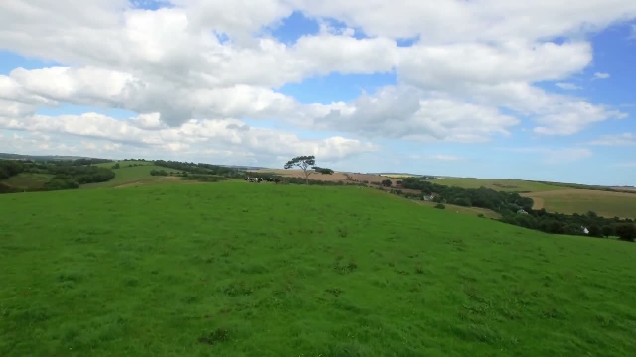 골든 필드의 드론 영상