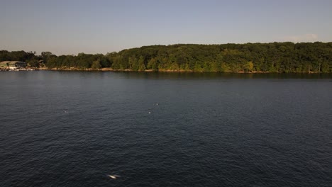 Aves-Aterrizando-En-El-Lago-Candlewood-En-Connecticut,-Al-Noreste-De-EE.UU.-Durante-La-Temporada-De-Verano-Con-El-Puerto-Deportivo-Al-Fondo