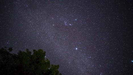 Milkyway-Pasa-En-Un-Hermoso-Lapso-De-Tiempo-Del-Cielo-Nocturno-En-Tanzania-Con-árboles