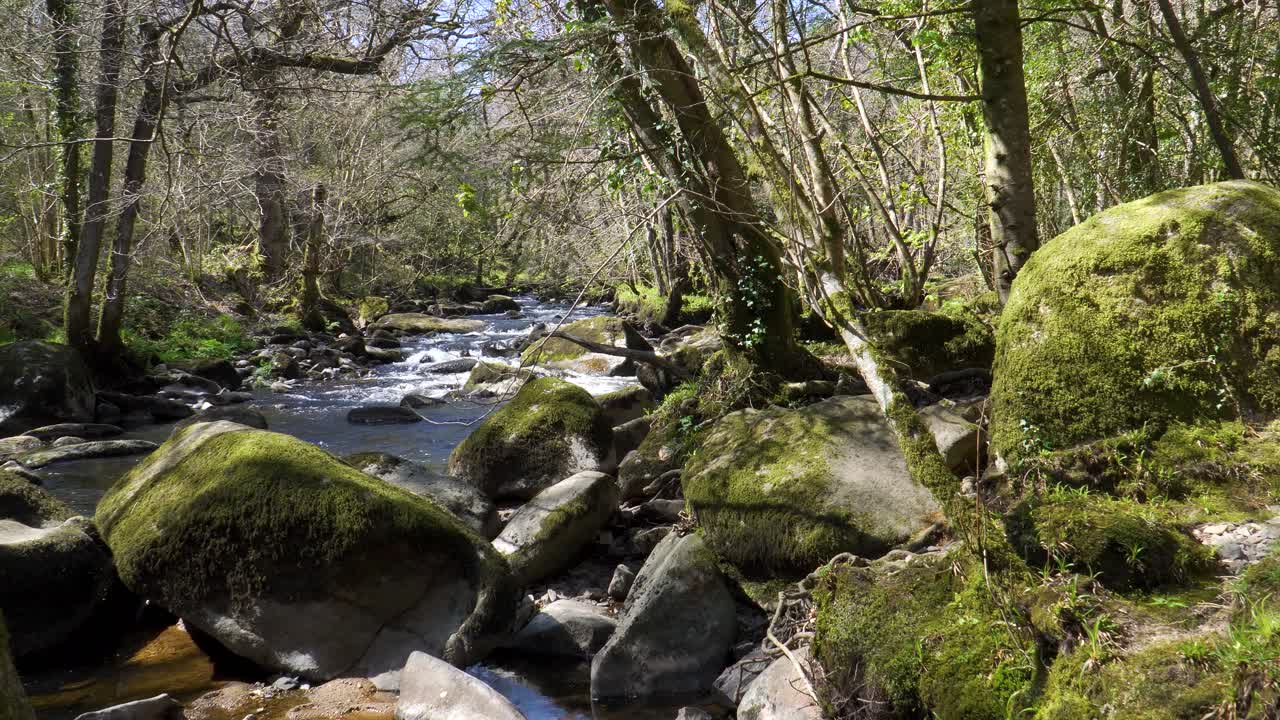 agua dulce que fluye por el río teign en el parque nacional de dartmoor