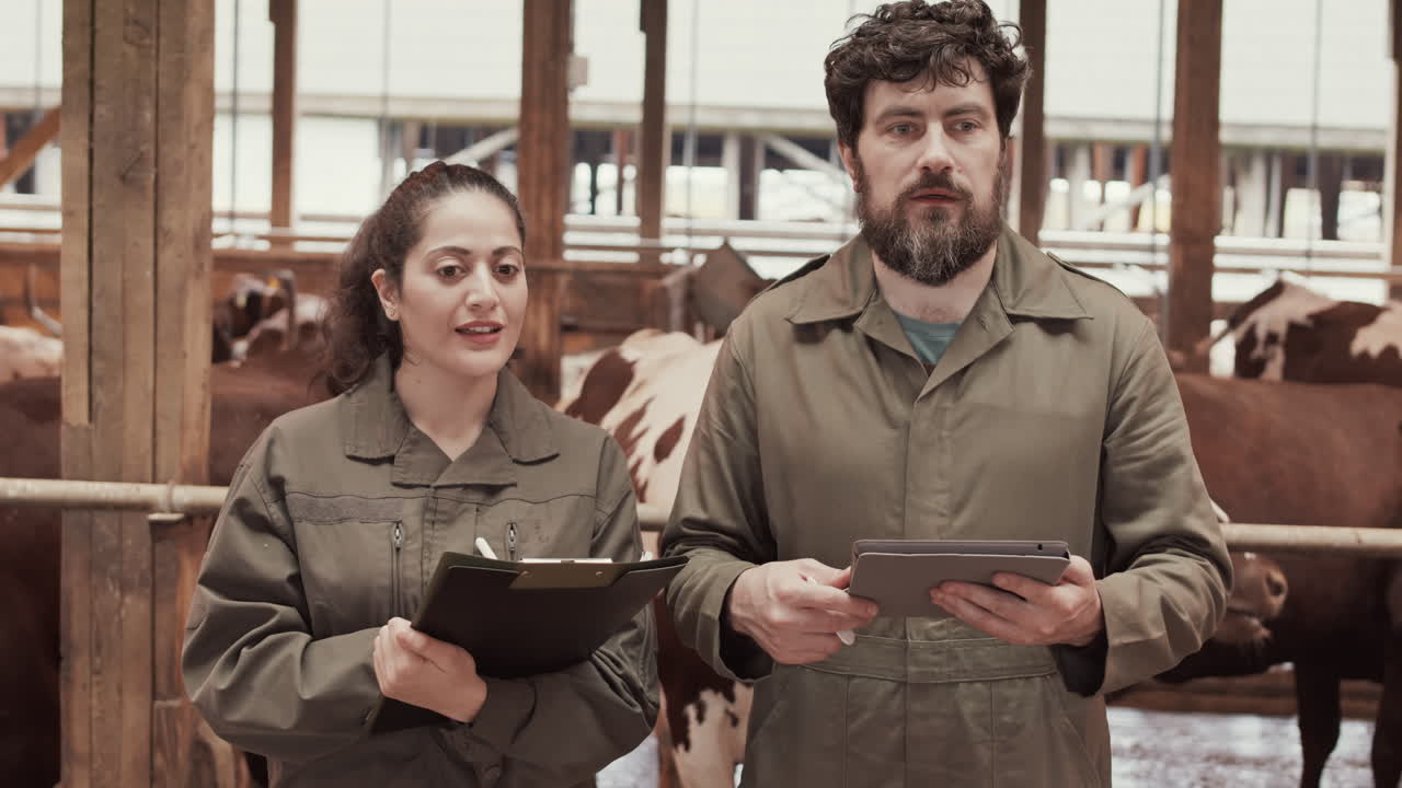 Diverse Farmers Working in Cowshed
