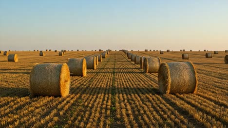 a serene landscape of golden hay bales patterned across the expansive fields under a soft sky at sunset, capturing the tranquility of rural agriculture
