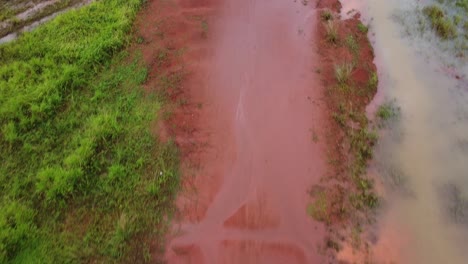 Sendero-De-Tierra-Roja,-Toma-Aérea