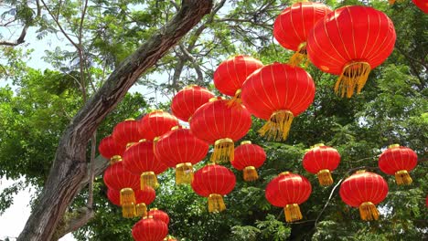 Linterna-Roja-Con-Fondo-De-árbol-Verde