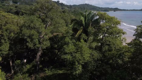 imágenes de drones sobrevolando la selva verde hasta la playa de playitas en las costas occidentales de costa rica en el océano pacífico