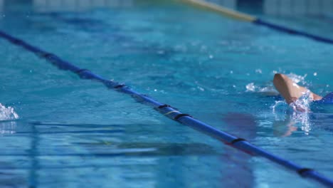 swimmers training in a swimming pool