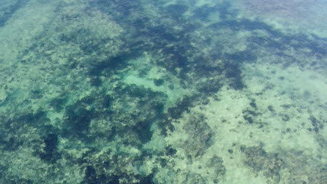 Aerial-video-of-tourists-paddleboarding-in-the-clear-water-beach-in-Akumal-at-the-Mayan-Riviera-in-Mexico