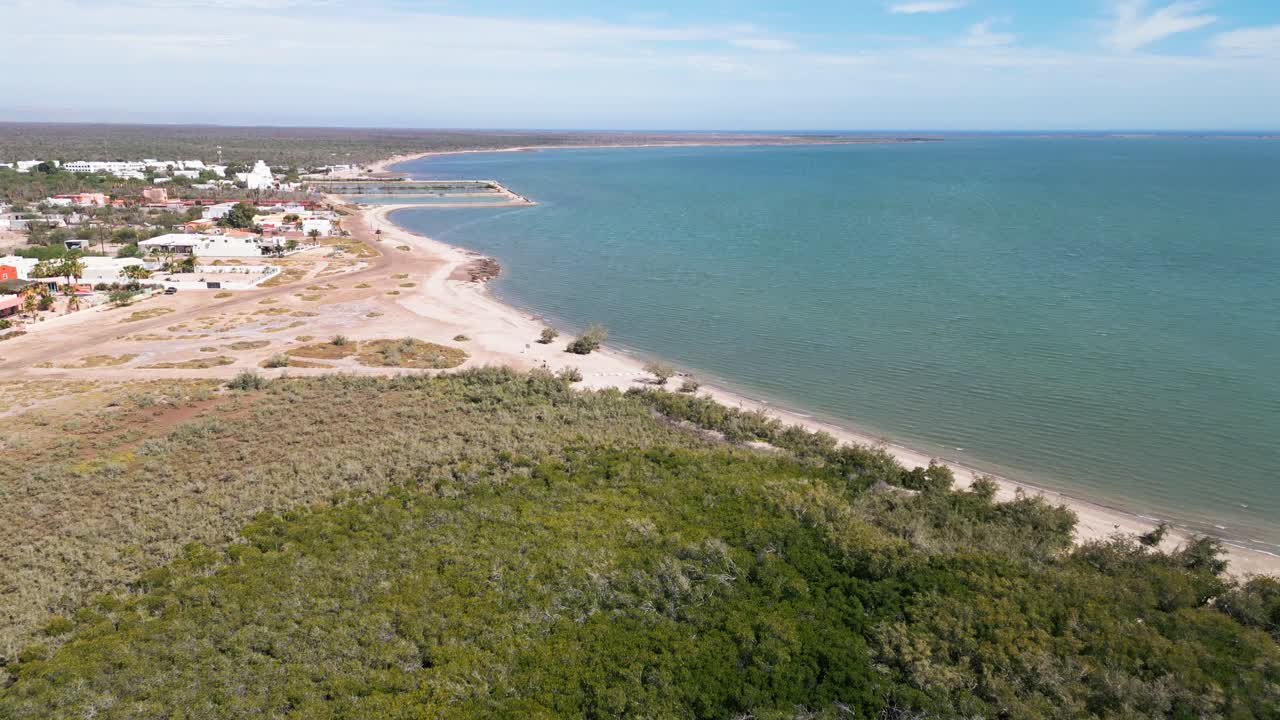 Lush mangroves meet calm coast near El Centenario, La Paz, Baja California Sur