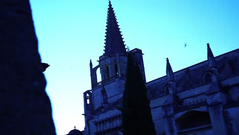 church tower in france which will be followed by a great many birds catching swallows for food