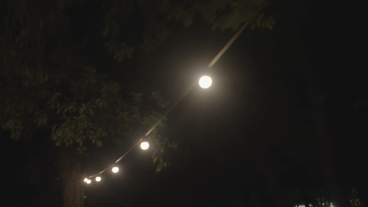 A string of glowing warm light bulbs hangs from tree branches in a backyard garden at night, creating a cozy and festive atmosphere