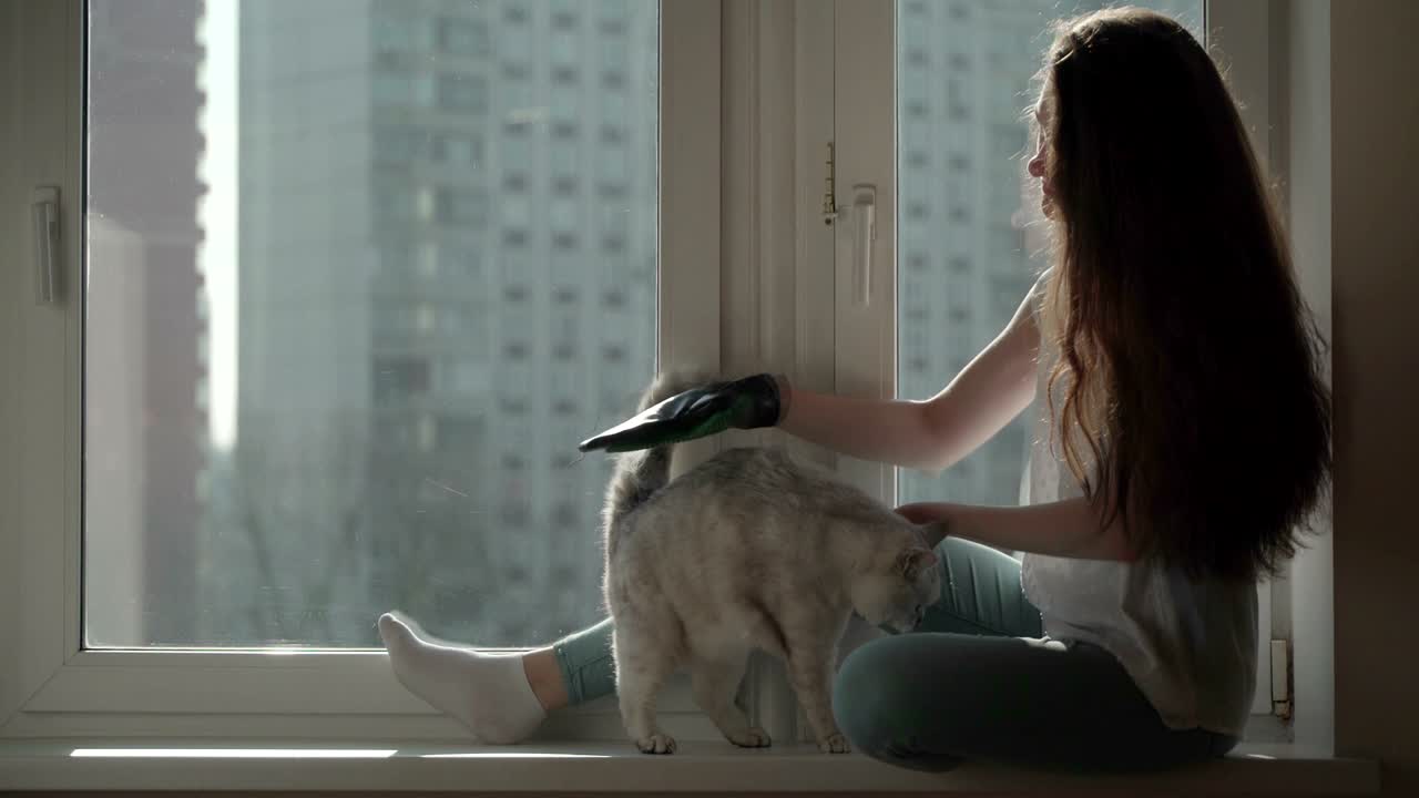 고양이의 털은 알레르기 원인에 대한 명백한 예입니다.