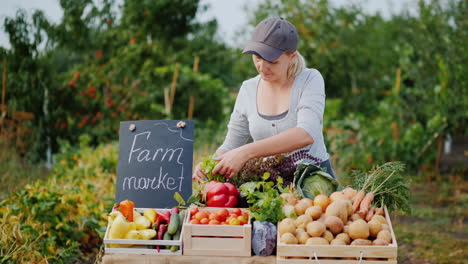 The Seller In The Farmer's Market Carefully Places The Vegetables On The Counter Small Business Owne