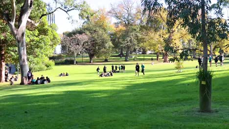 people enjoying leisure time in the park