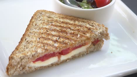 grilled tomato mozzarella sandwich with salad