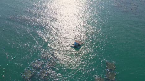 aerial shot of big sea farms in the open sea in tropics. marine farming concept