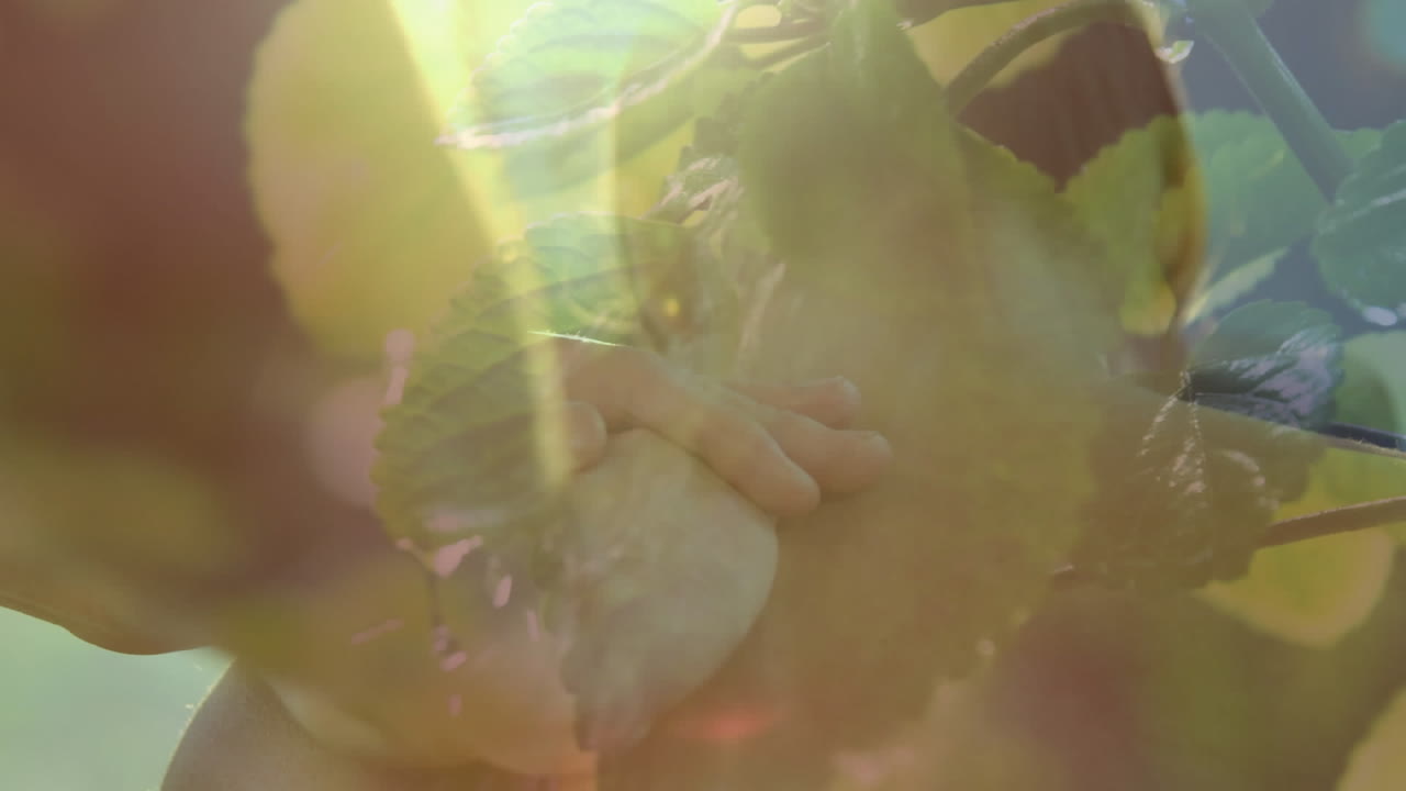 medio ambiente y bienestar