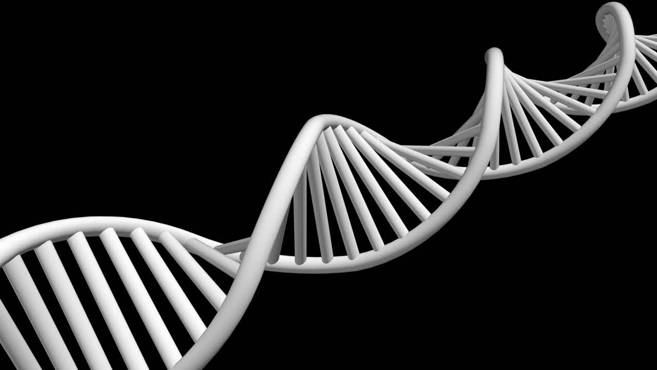 modelo 3d de doble hélice de adn