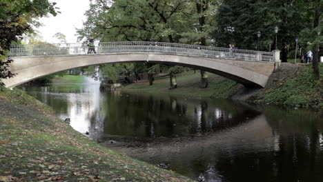 bridge in the city park