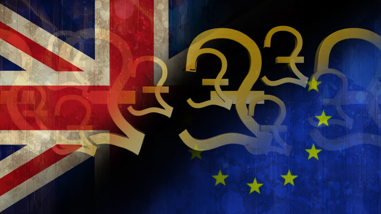 애니메이션 파운드 비디오