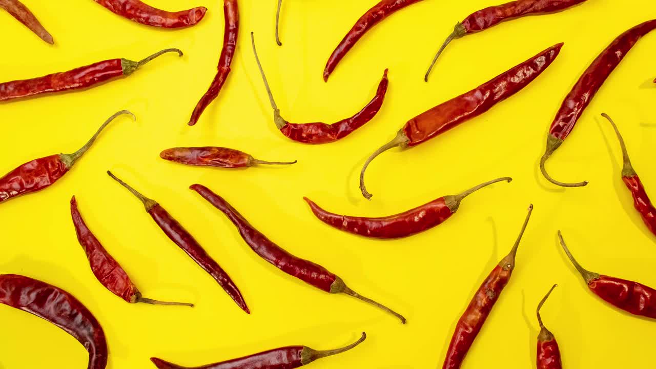 Pimentas vermelhas Chile de árbol em movimento stop motion como padrão em fundo amarelo vibrante e divertido 4K