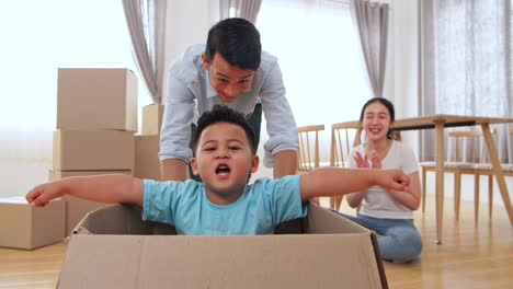 riding in cardboard boxes at new home