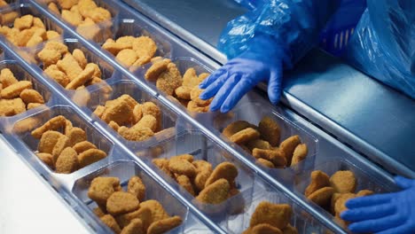 línea de producción de nuggets de pollo-2