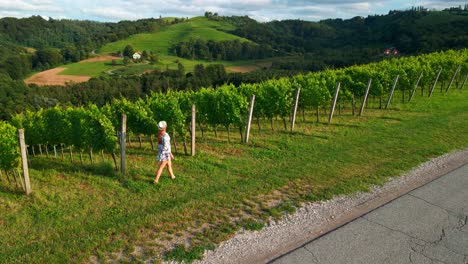 stunning drone footage of a white caucasian woman with a knitted hat in a dress walking through vineyards of jeruzalem and admiring the surroundings