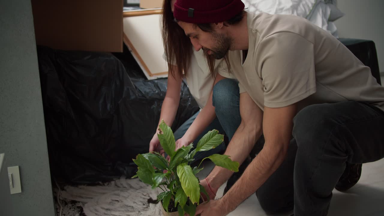 A brunette man with stubble in a beige T-shirt together with his brunette girlfriend in a white T-shirt collect soil from a house flower that fell on the floor after moving to a new apartment among boxes and furniture in black polyethylene in a new apartment