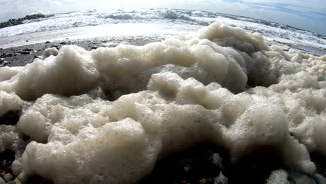 algae foam in storm on the beach, sandy beach with waves, north sea, jütland, sondervig, denmark, 4k