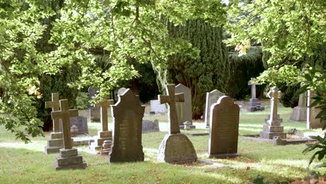 static shot of a graveyard lit brightly in the sunlight giving a positive feeling