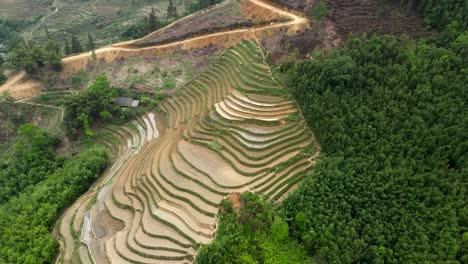 drone shot of dry terraced farmland cascading along a sloped hillside, with a small hut, forest edge, and patches of water between soil ridges.