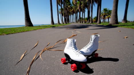 roller skates on a pathway between palm trees by the ocean.
