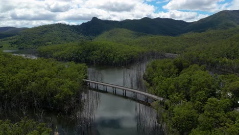 Vista-Aérea-De-Marcha-Atrás-Sobre-El-Puente-De-Pine-Creek,-El-Parque-Nacional-Springbrook-En-El-Interior-De-Gold-Coast,-Queensland,-Australia