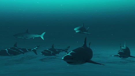 group of sharks in deep ocean